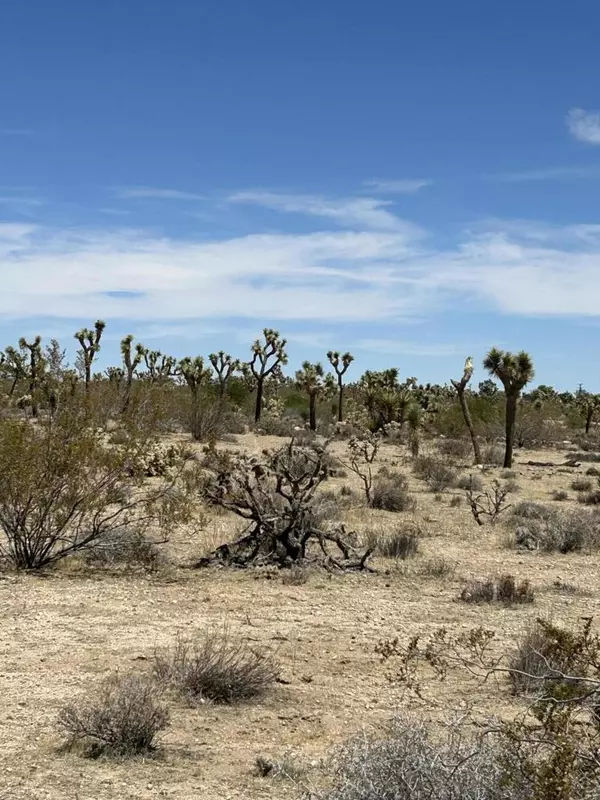Yucca Valley, CA 92284,0 Sun Oro RD