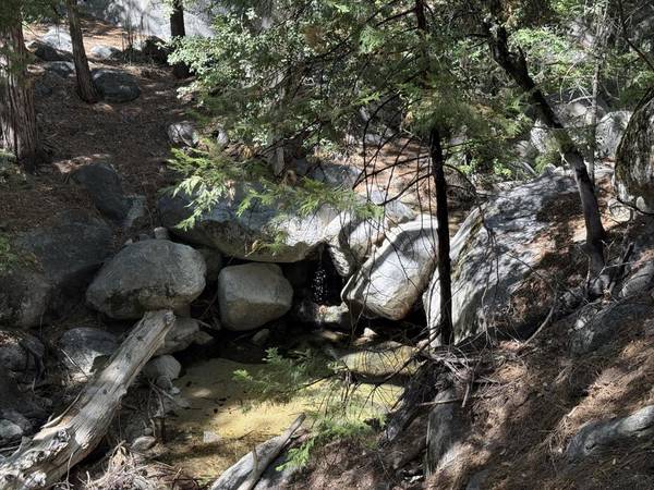 Idyllwild, CA 92549,24565 Fern Valley RD