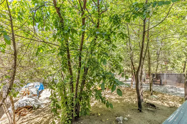 Idyllwild, CA 92549,54915 S Circle DR