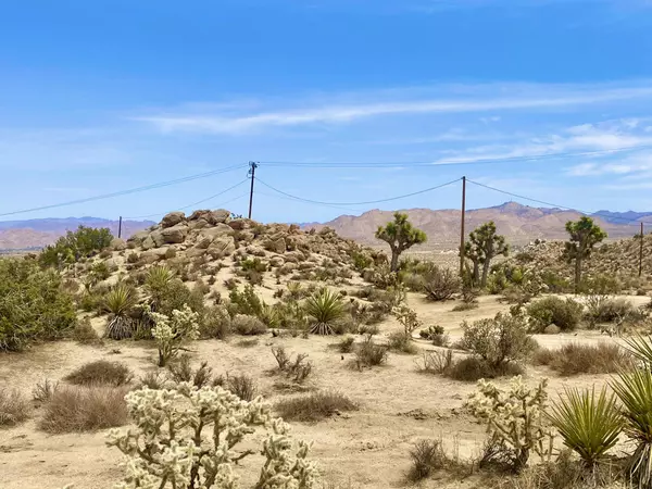 Yucca Valley, CA 92284,104 Bandera RD