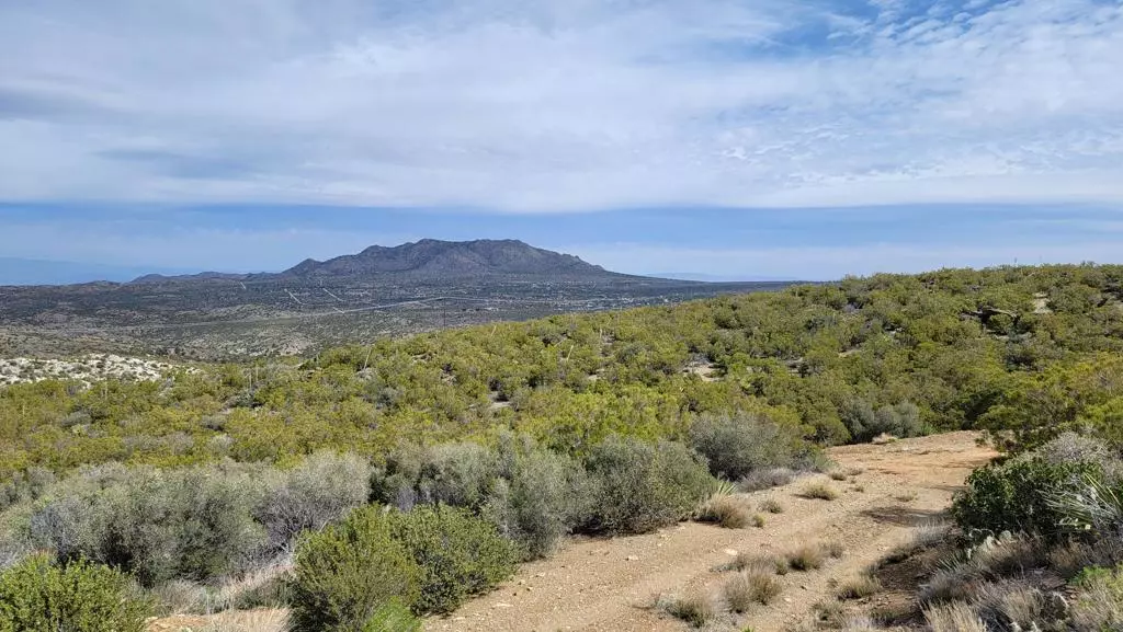 0 Palace DR, Mountain Center, CA 92561
