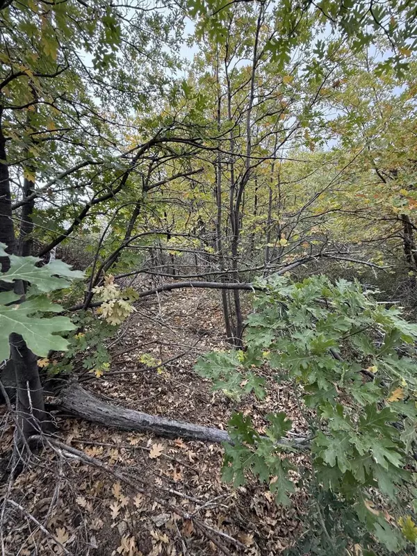 Lytle Creek, CA 92358,0 Lytle Creek RD