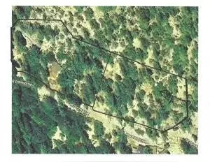 Idyllwild, CA 92549,54789 Wildwood DR