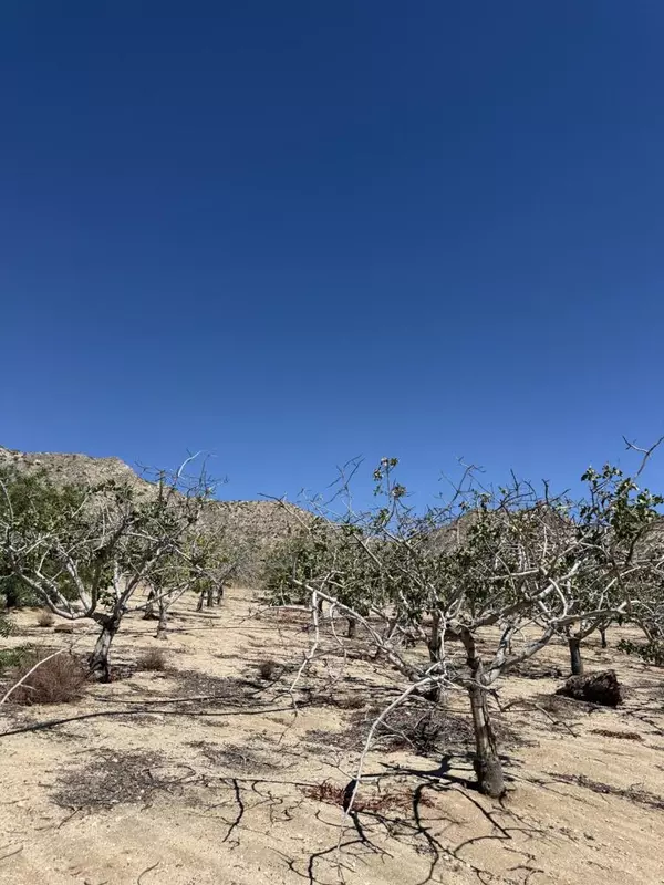 Morongo Valley, CA 92256,49191 Cedar DR