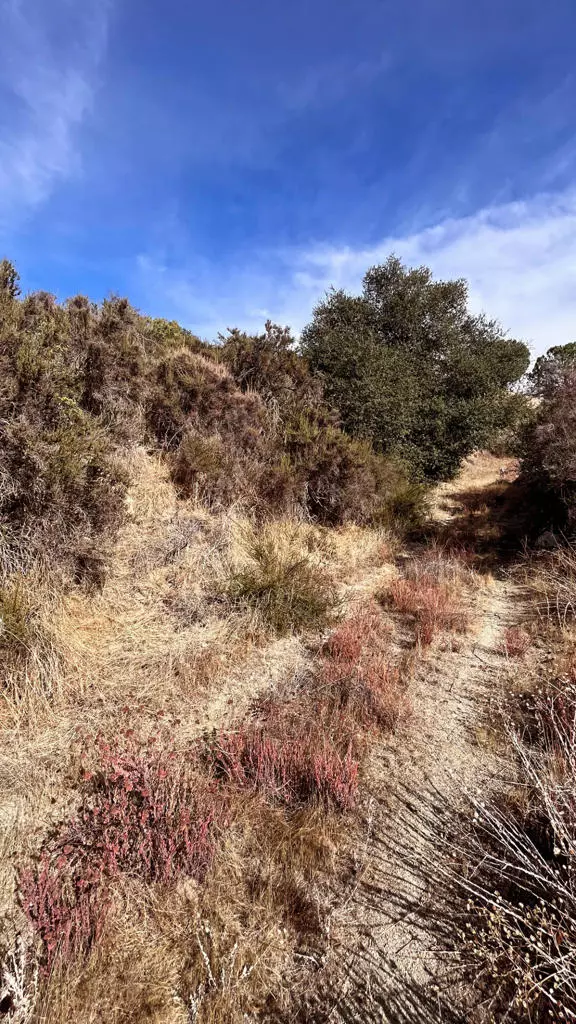 Banning, CA 92220,0 Partridge LN