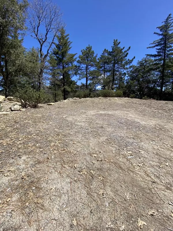 Idyllwild, CA 92549,52952 Cedar Crest Drive DR