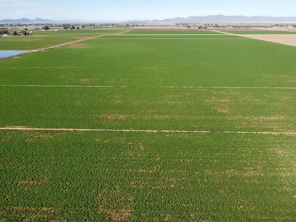 Blythe, CA 92225,9165 Intake BLVD