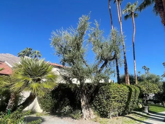 Palm Springs, CA 92264,1470 S Camino Real