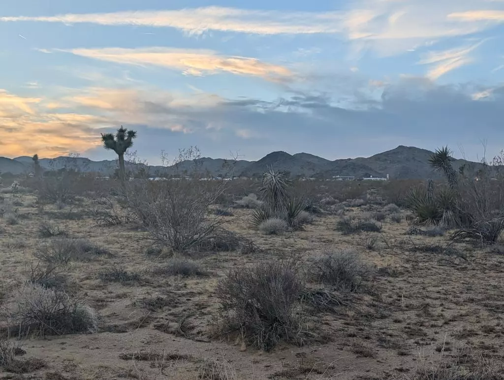 Yucca Valley, CA 92284,476 Ripon AVE