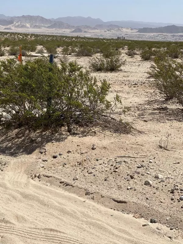 29 Palms, CA 92277,Canyon Road