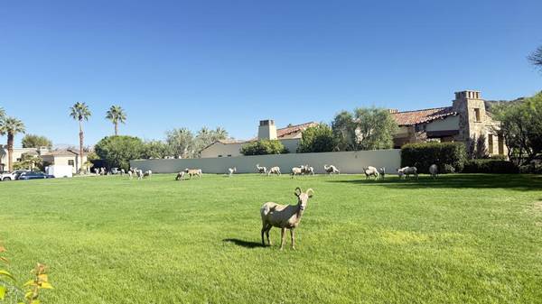 La Quinta, CA 92253,78471 Talking Rock Turn