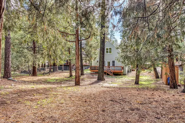 Idyllwild, CA 92549,53300 Meadow DR