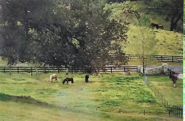 Julian, CA 92036,3732 Daley Flat Road