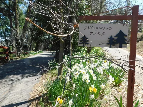 2225 Highway 78, Julian, CA 92036