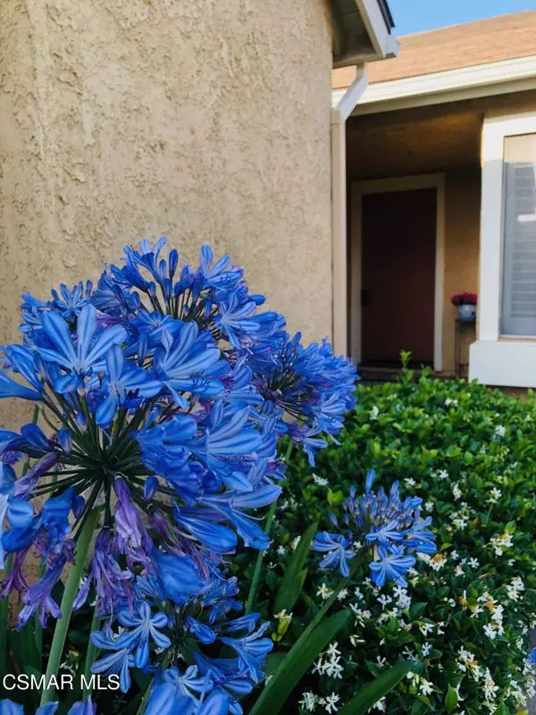 Camarillo, CA 93012,31310 Village 31