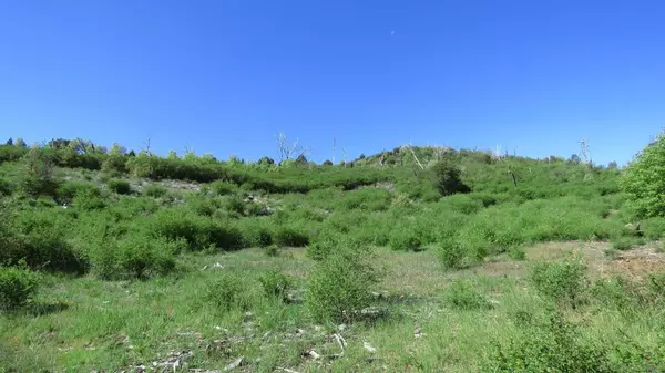 Julian, CA 92036,0 Iron Springs Rd