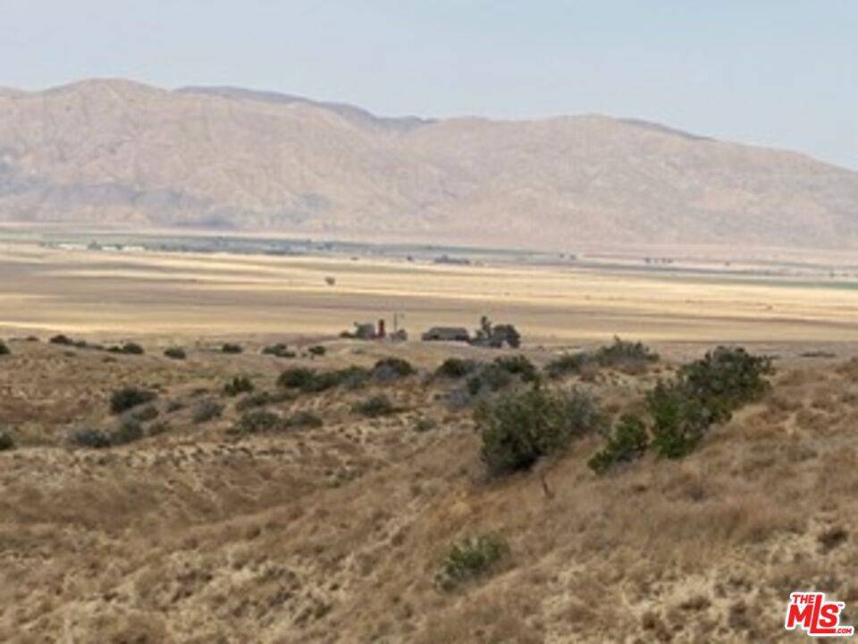 New Cuyama,  CA 93254