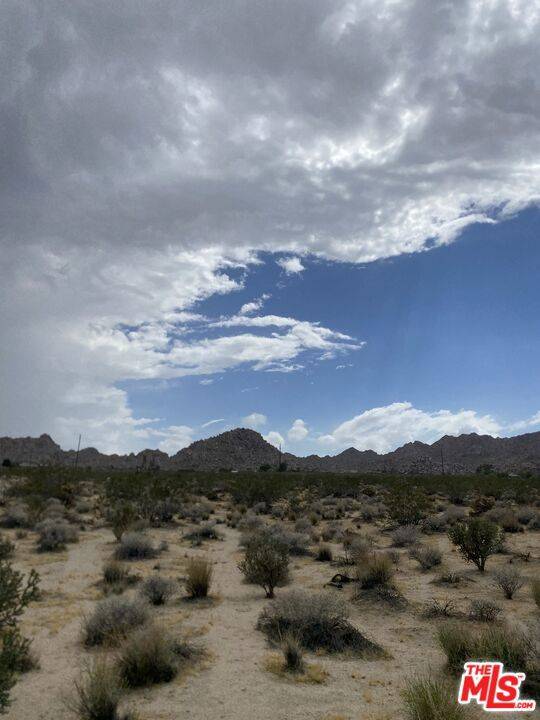 Joshua Tree, CA 92252,6700 California AVE
