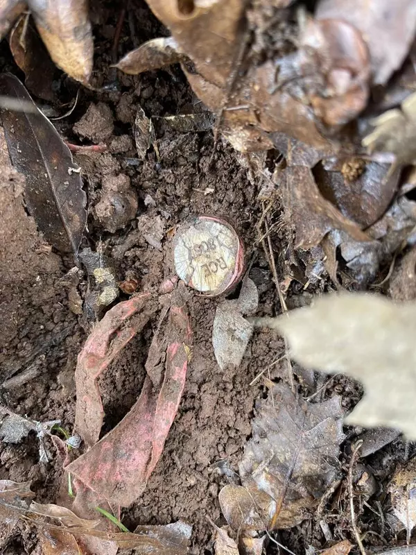 Julian, CA 92036,Pine Ridge Ave