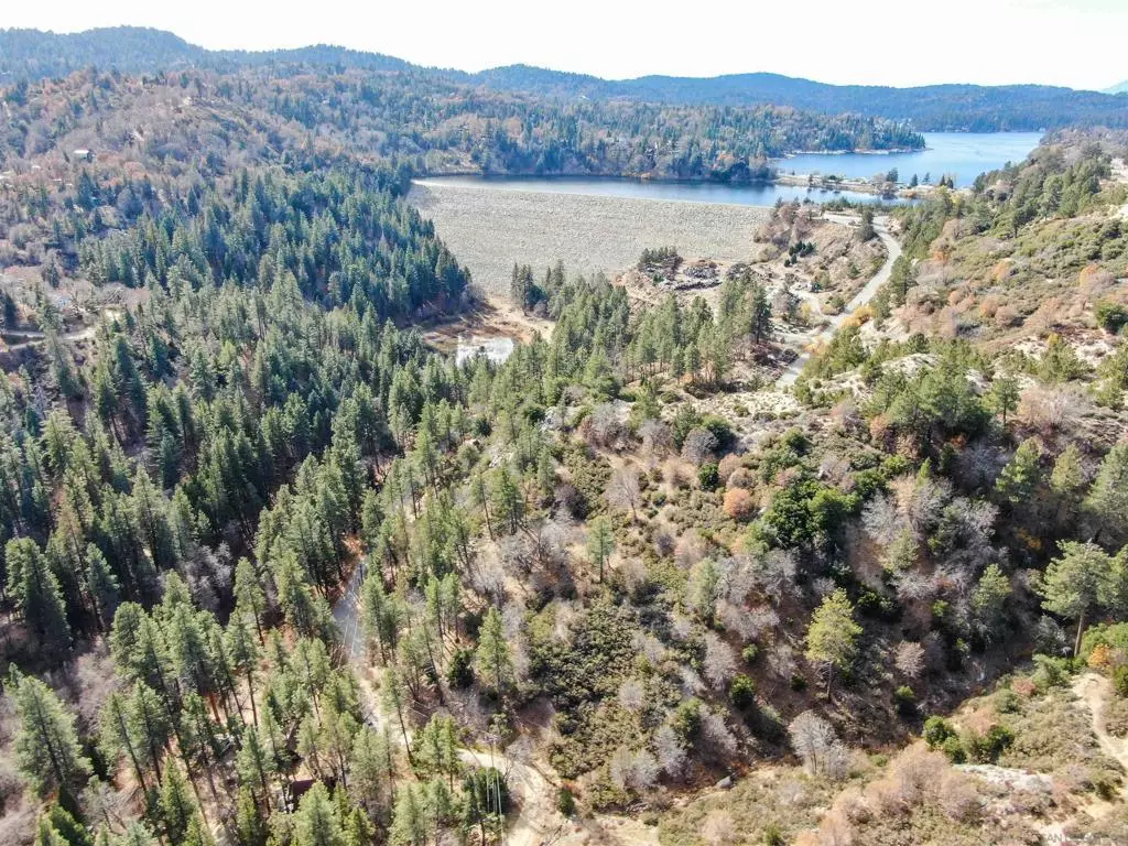 Cedar Glen, CA 92321,29522 Torrey Road