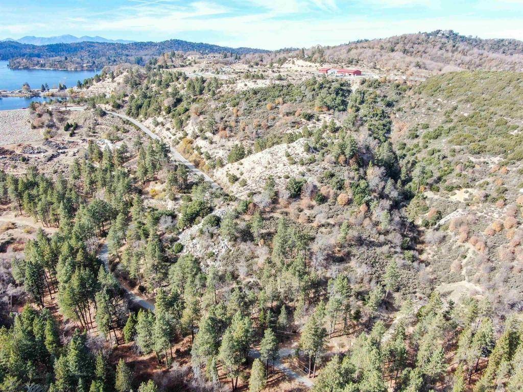 Cedar Glen, CA 92321,29522 Torrey Road