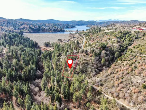 Cedar Glen, CA 92321,29522 Torrey Road