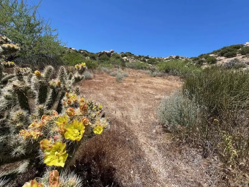 0 Old Highway 80, Jacumba, CA 91934