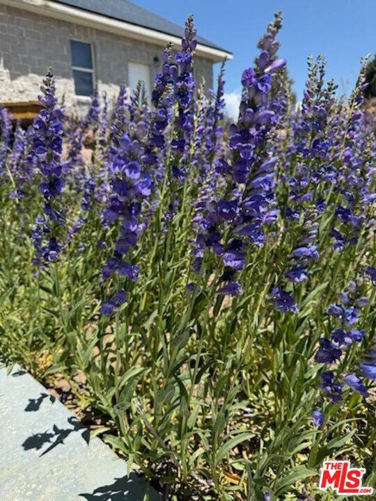 Bridgeport, CA 93517,350 Aspen LN