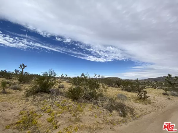 Joshua Tree, CA 92252,0 Saddleback RD