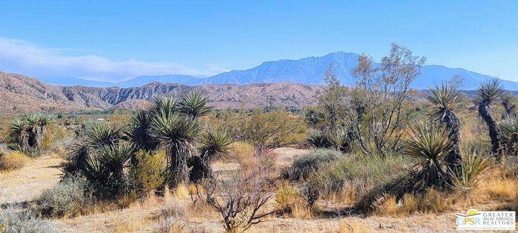Morongo Valley, CA 92256,0 Cedar Dr