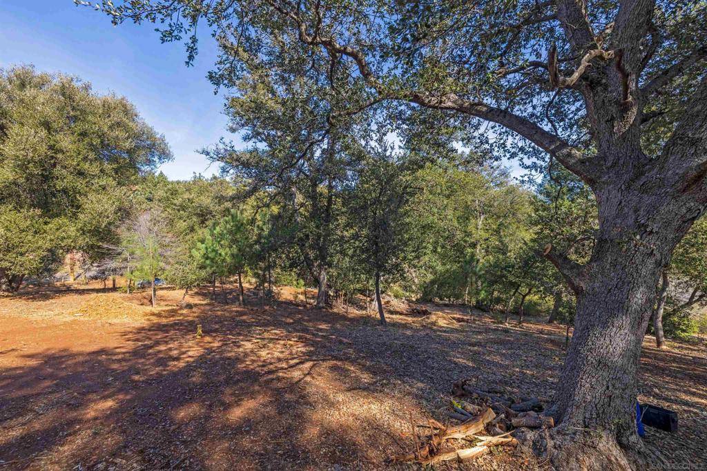 Frisius Dr, Julian, CA 92036