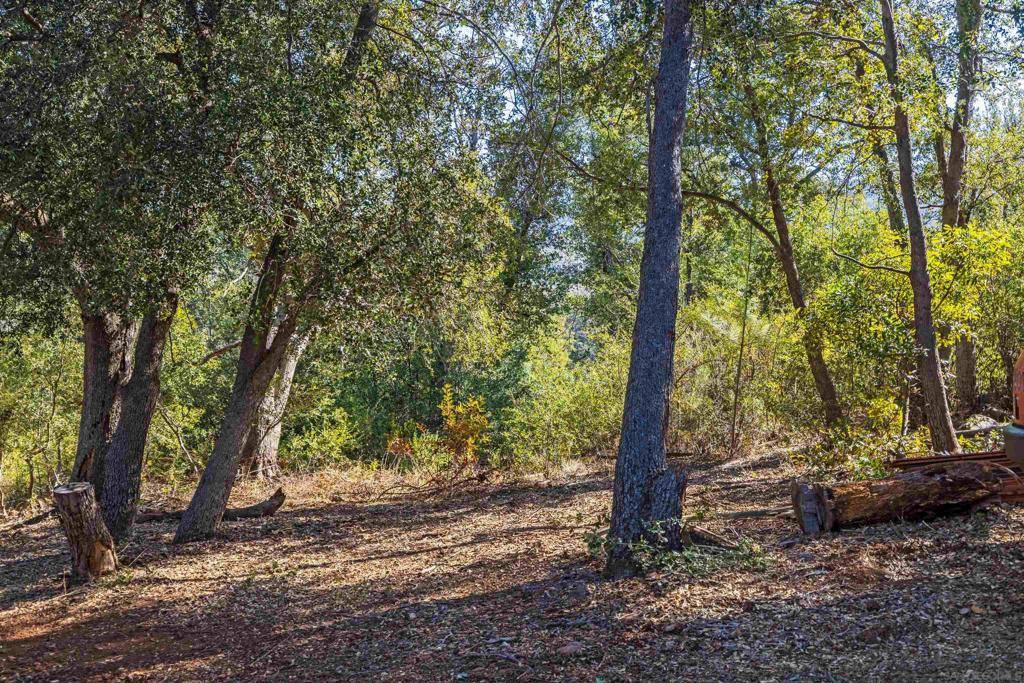 Julian, CA 92036,Frisius Dr