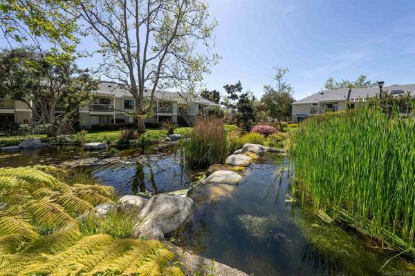 San Diego, CA 92130,12269 Carmel Vista Rd #166
