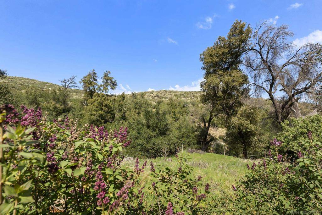 Warner Springs, CA 92086,26742 San Felipe Rd
