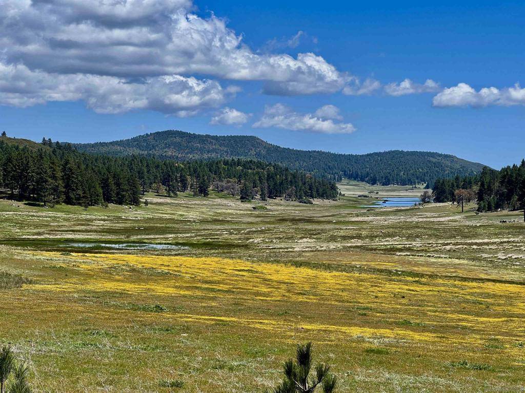 Julian, CA 92036,0 Highway 79