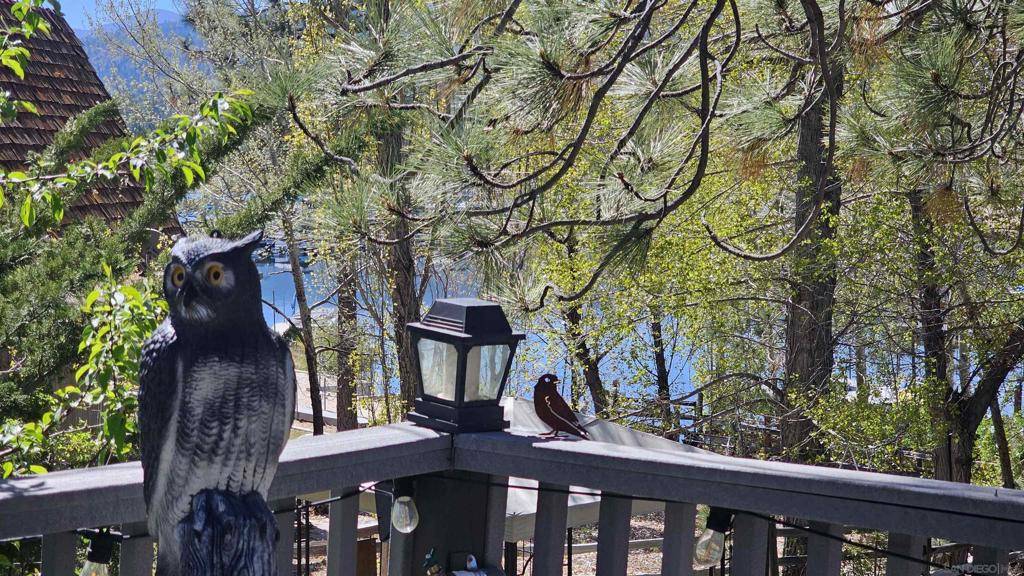 Big Bear, CA 92315,39343 Aurora Rd