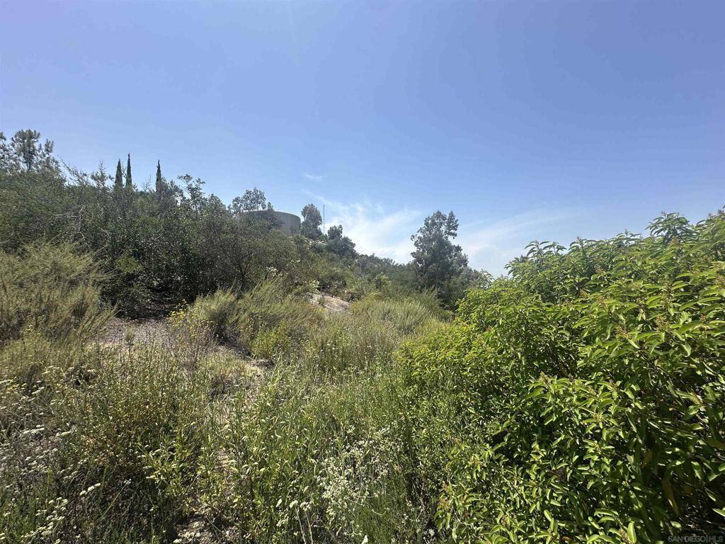 Escondido, CA 92026,0 Sage Hill Way