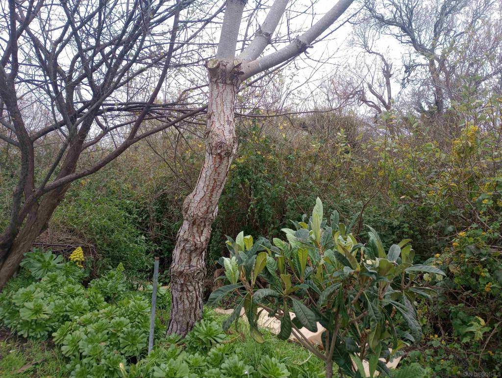 0 Chesterfield, Half Moon Bay, CA 94019