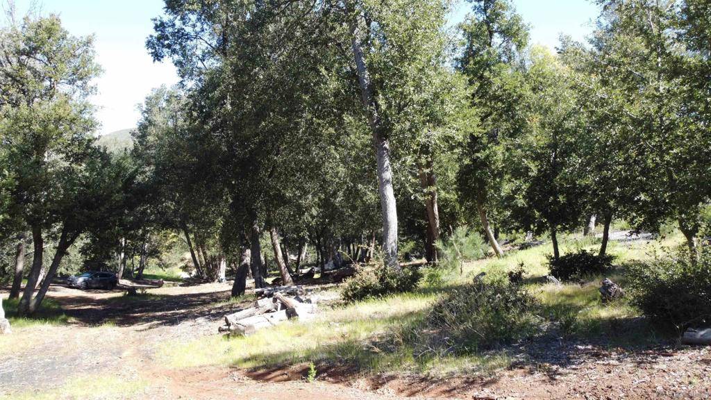 0 Toyon Mountain Ln, Julian, CA 92036