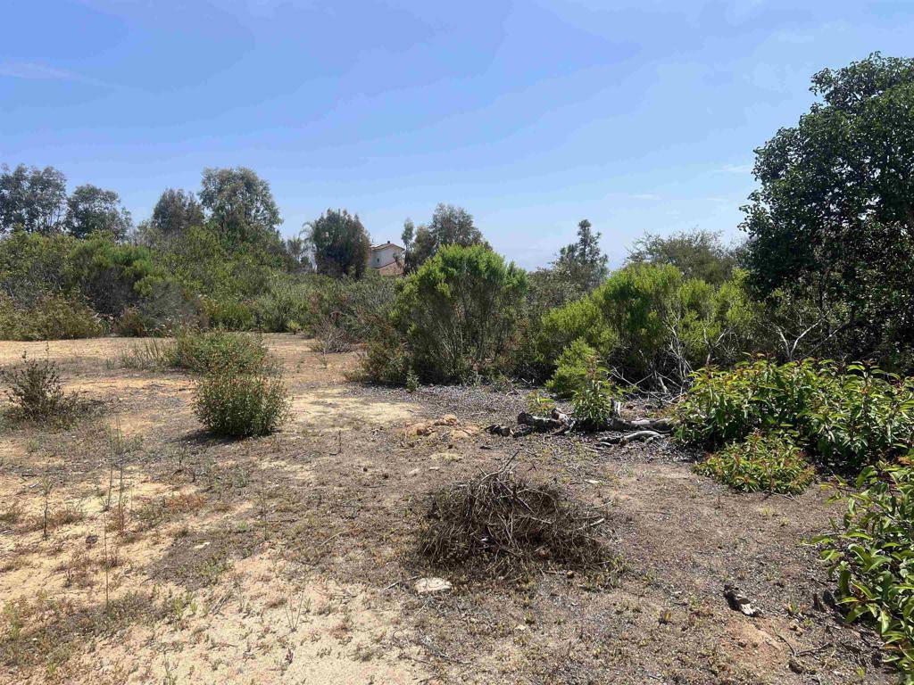 San Marcos, CA 92078,Washingtonia Dr