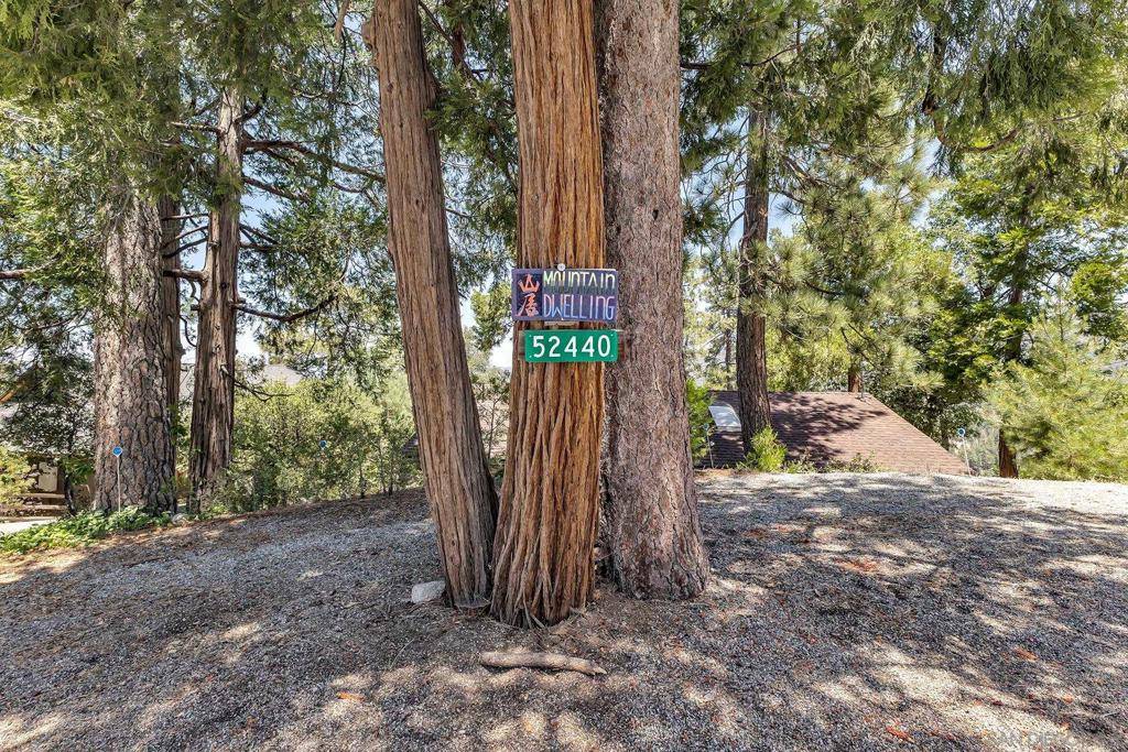 Idyllwild, CA 92549,52440 DOUBLE VIEW DRIVE