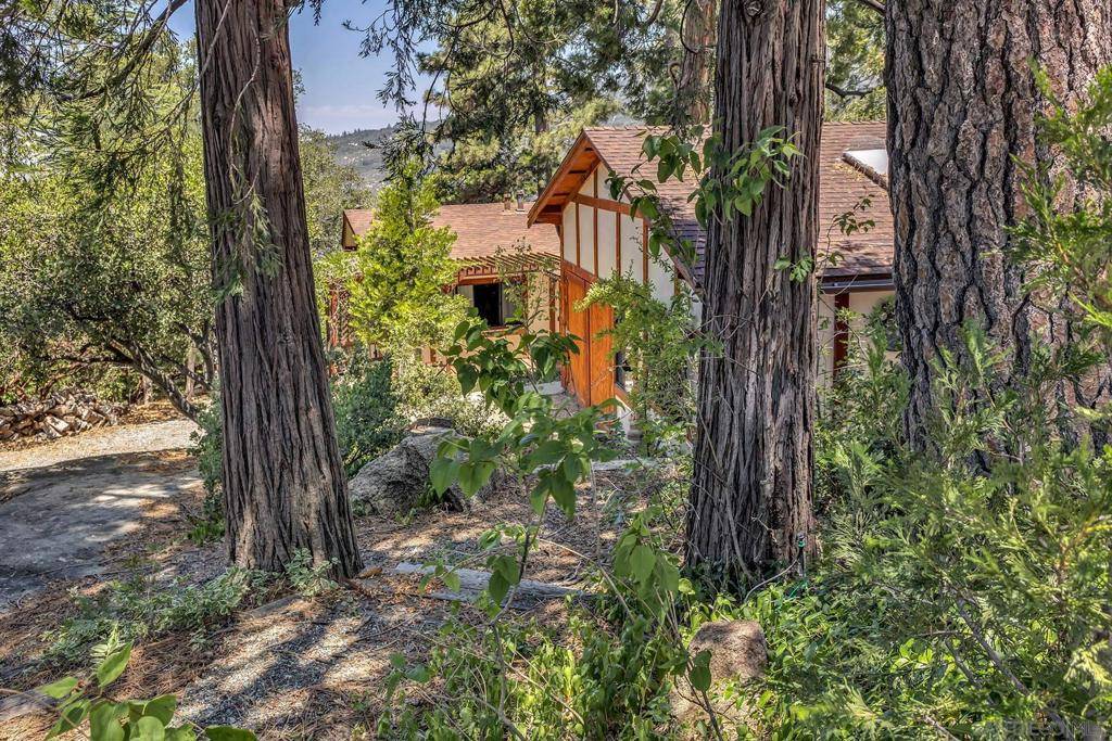 Idyllwild, CA 92549,52440 DOUBLE VIEW DRIVE