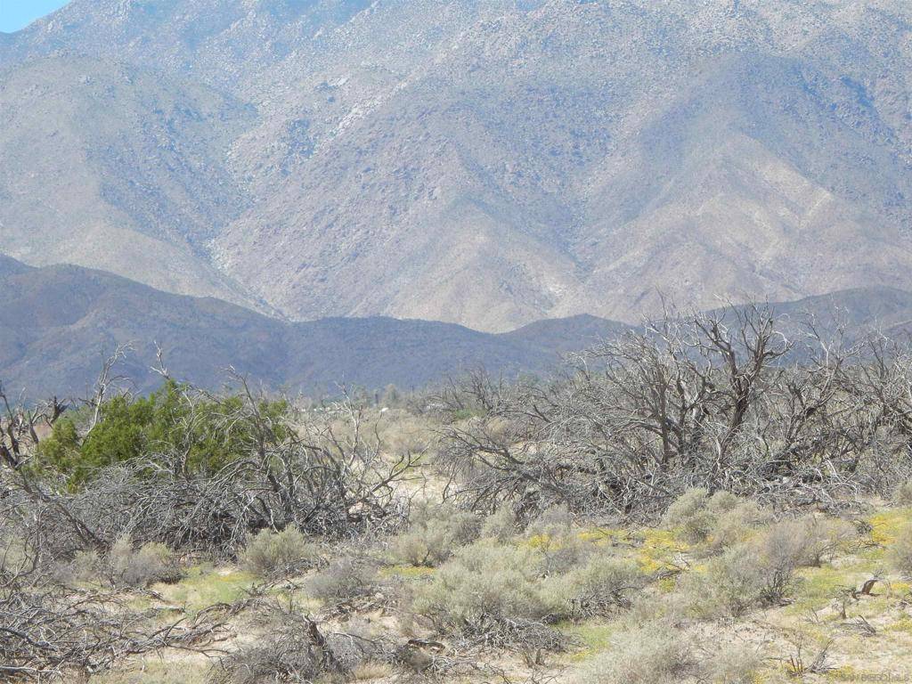 Borrego Springs, CA 92004,Yaqui Pass Rd