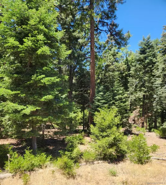 Conifer Lane, Palomar Mountain, CA 92060