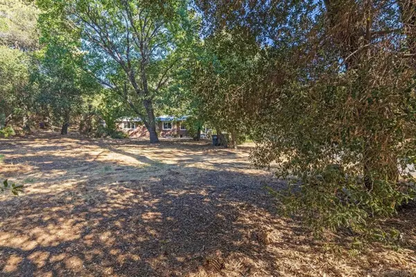 Julian, CA 92036,3221 Dolores Dr