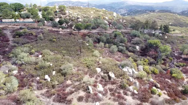 Jamul, CA 91935,TUMERIC WAY