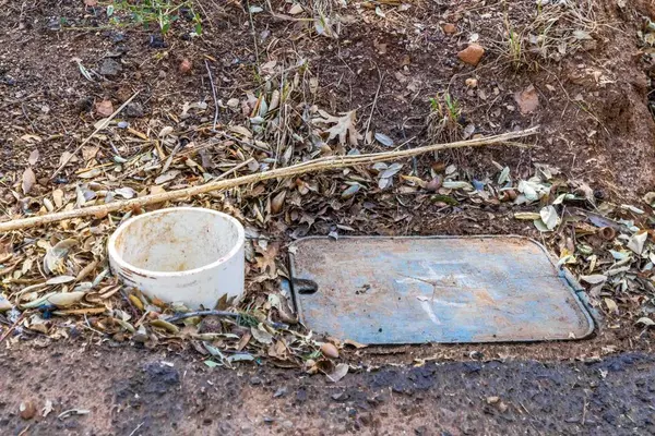 Julian, CA 92036,0 Frisius Dr