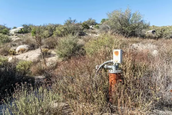 Pine Valley, CA 91962,35613 Satgecoach Springs Rd