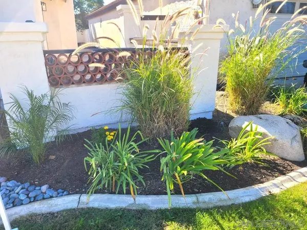 Oceanside, CA 92057,243 FLAME TREE PLACE