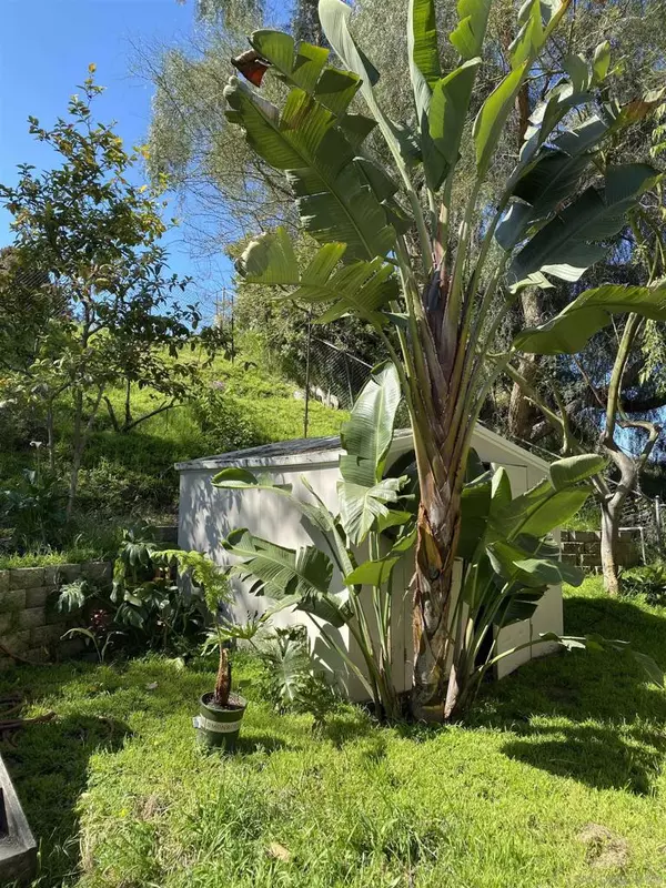 Oceanside, CA 92057,5015 Macario Dr